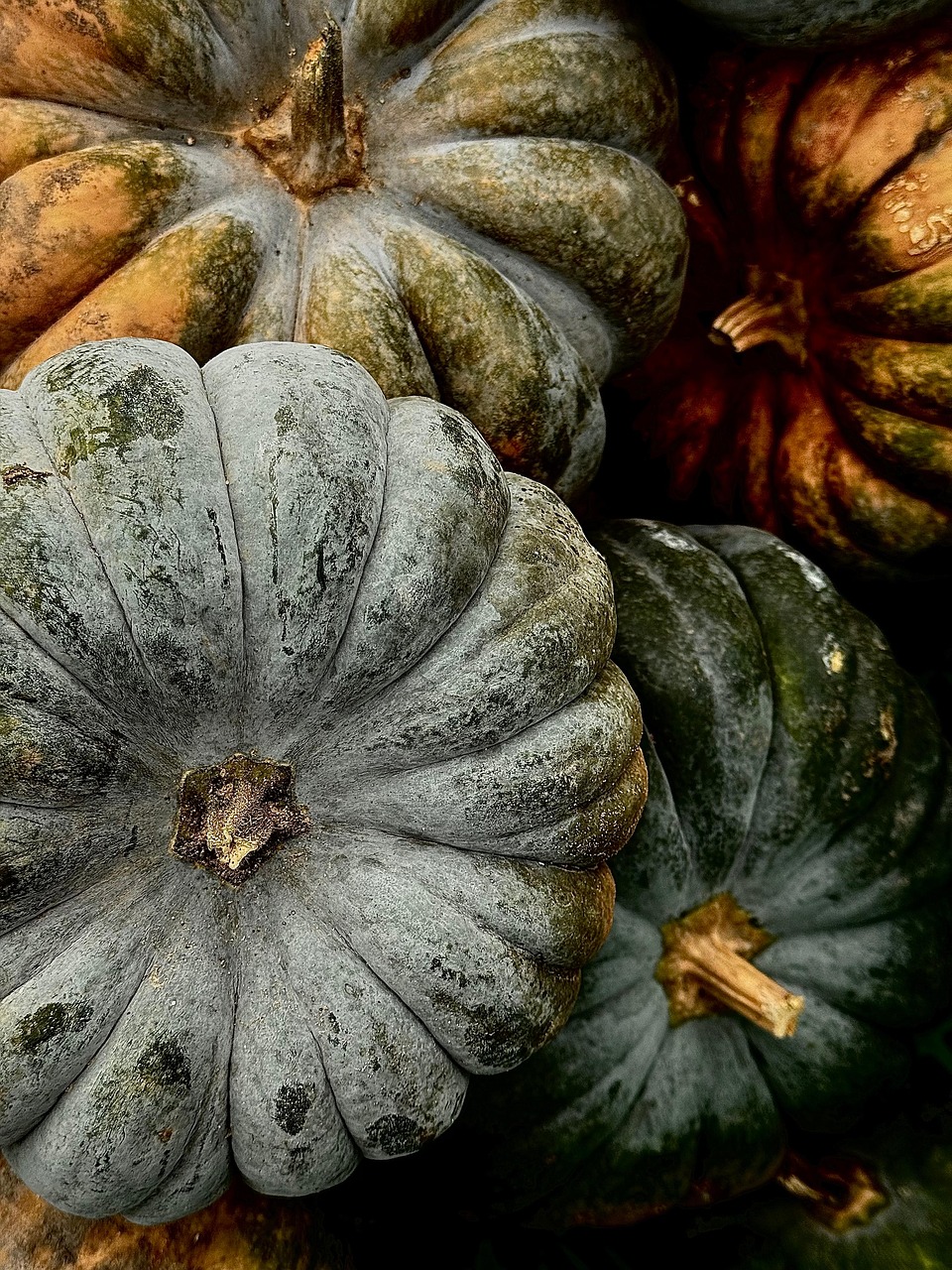 
Колко е социалната пенсия