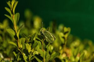 Колко струва преглед при специалист без направление