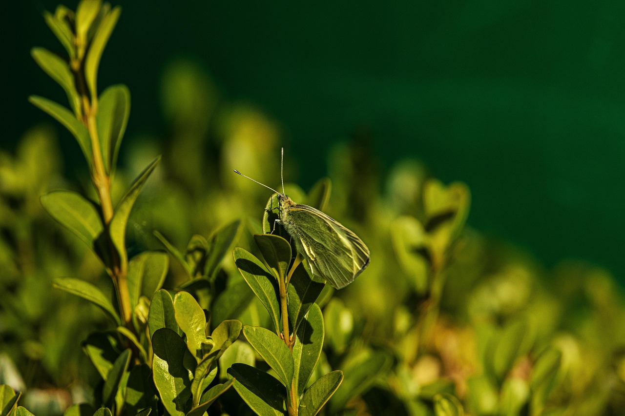 
Колко струва преглед при специалист без направление