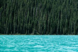 Колко се изплаща болничен по време на бременност