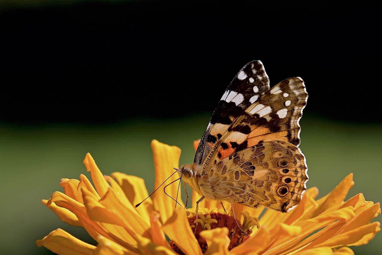 
Колко струва медицинско за работа 2024