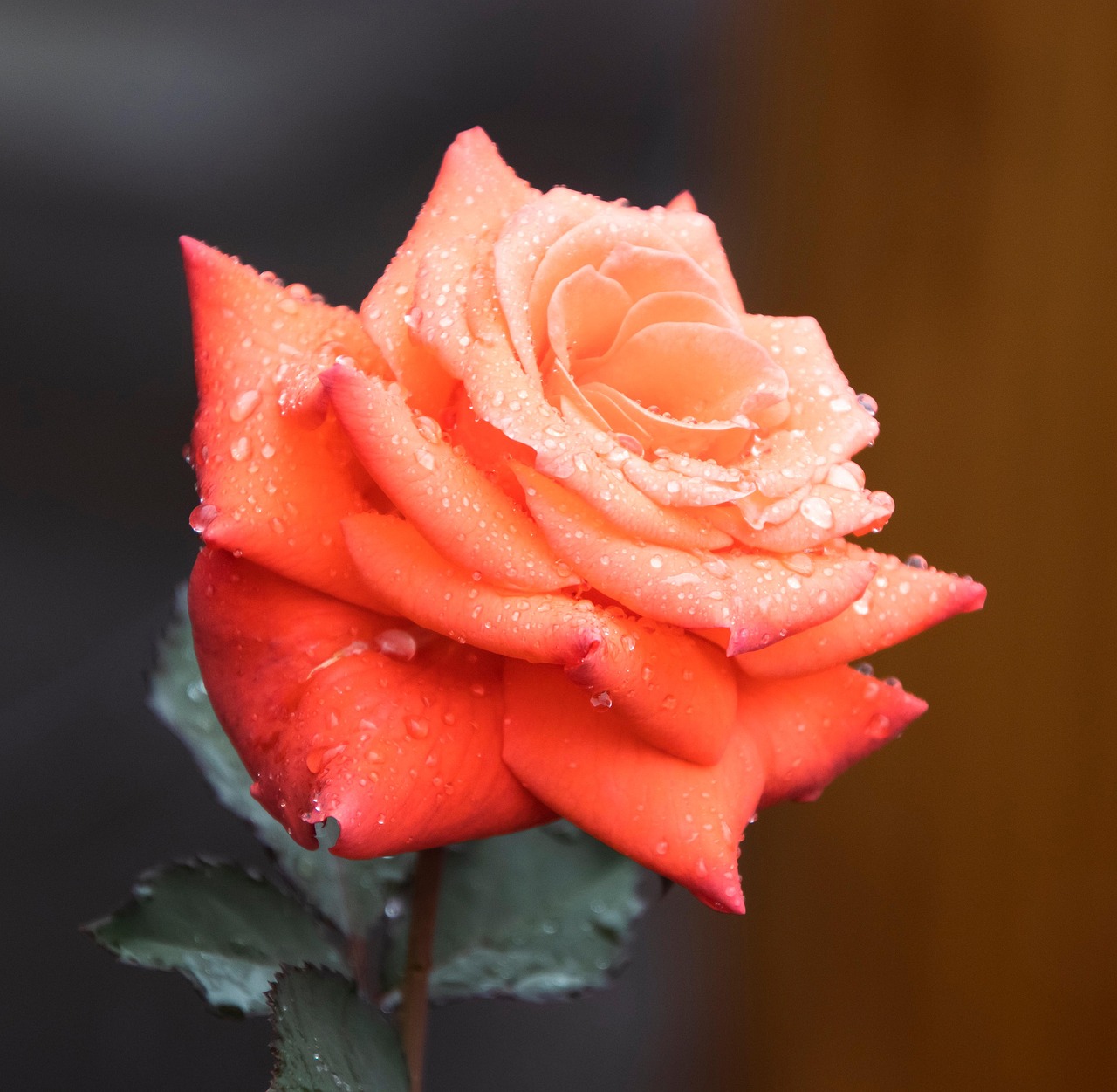 
Колко грама подправки се слагат на 1 килограм кайма