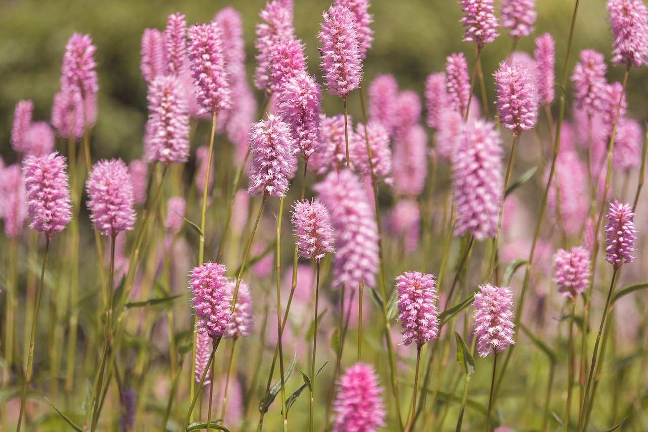 
1 чаена лъжица Колко грама е