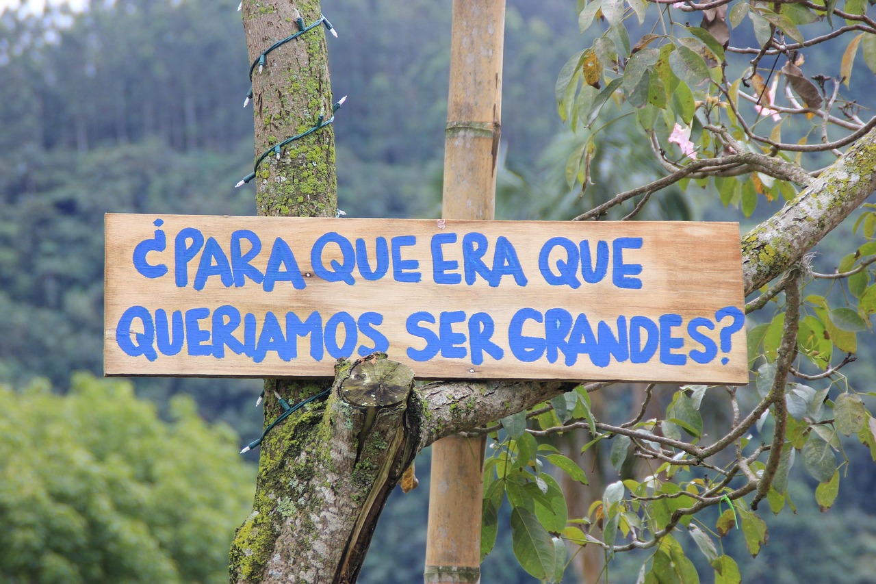 
Колко време се вари царевица