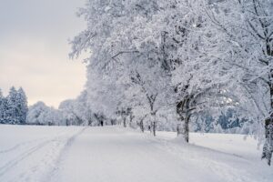 Колко дни избиват пъпките при варицела