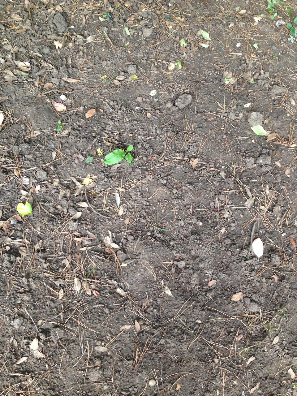 
ксизал Колко време се пие