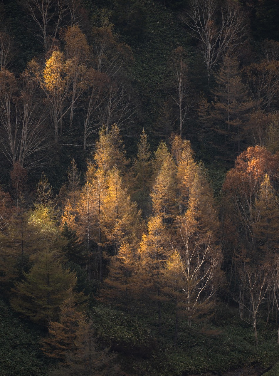 
Колко струва 1 биткойн