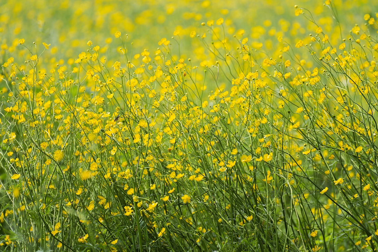 
магкомбо Колко време се пие