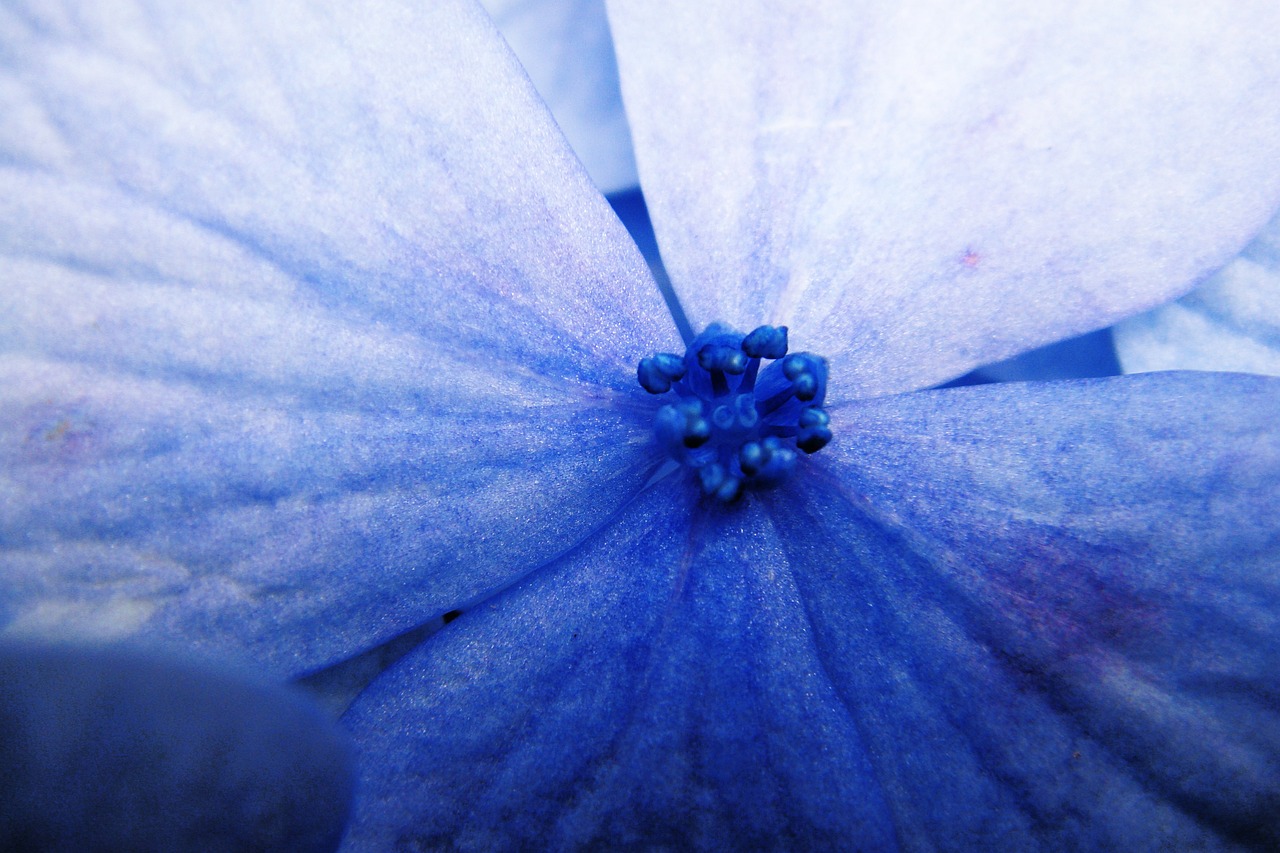 
Колко е еднократна помощ при раждане на дете