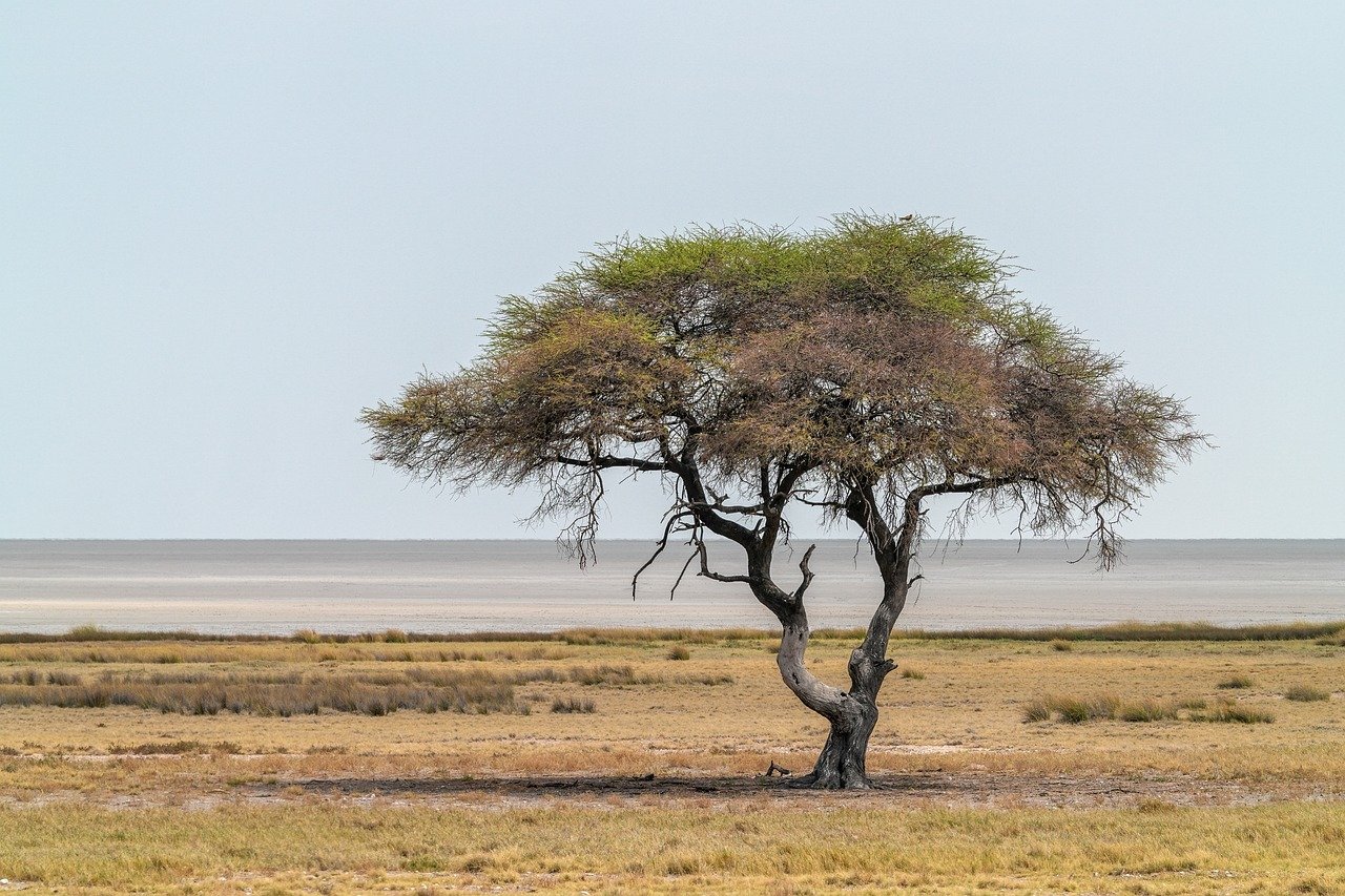 
Колко часа е полета от софия до тунис