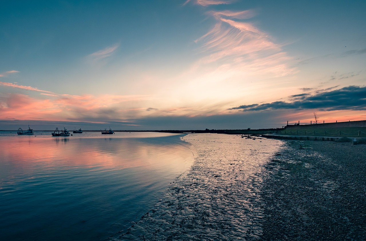 
на Колко години е тръмп