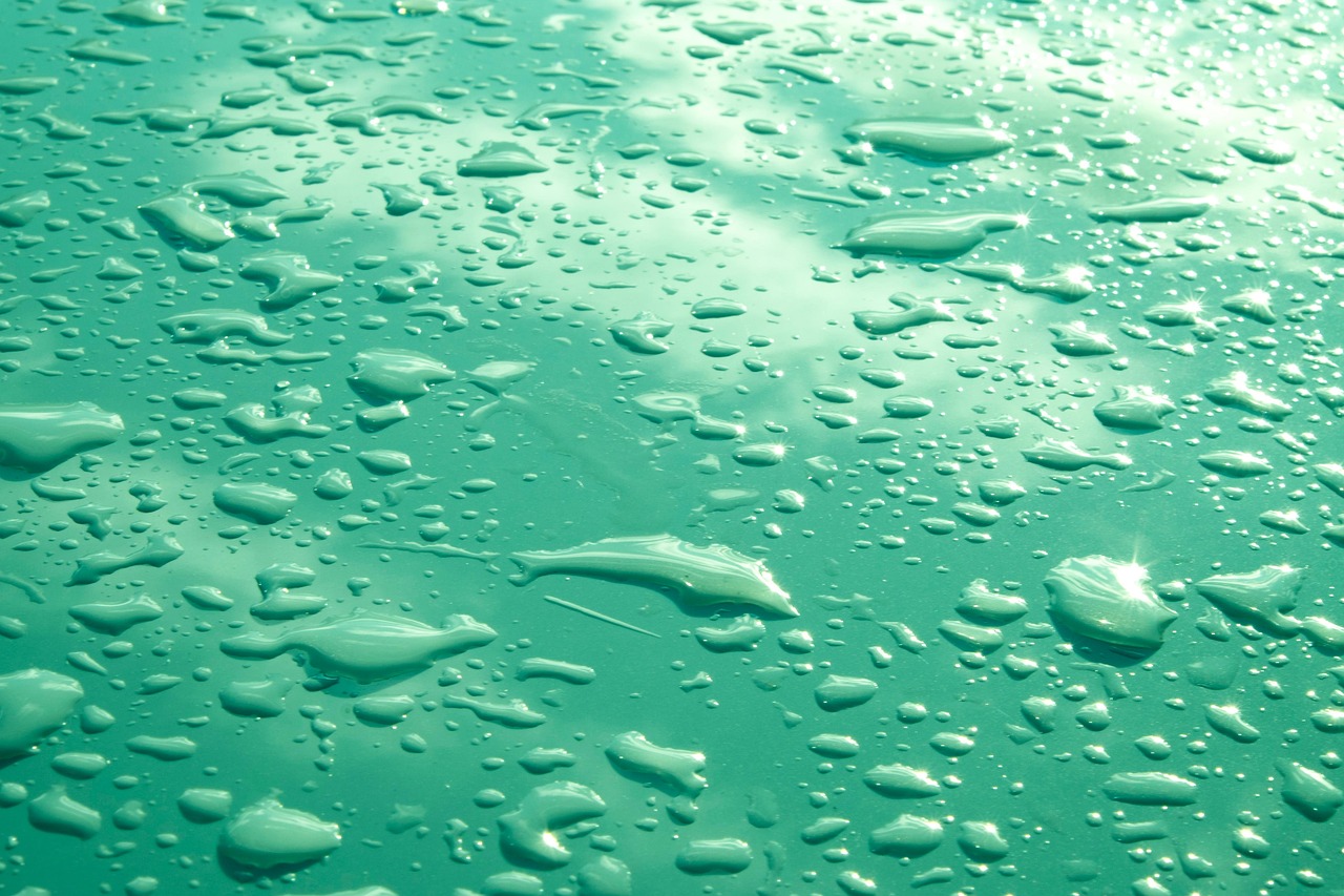 
Колко струва мултиспорт карта