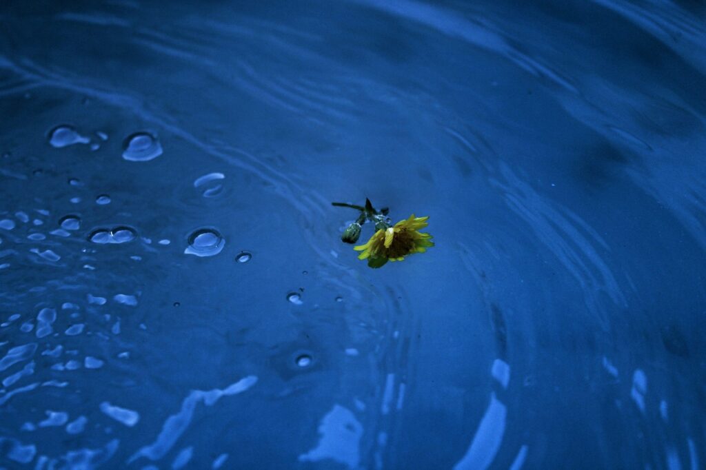 Колко време след спиране на алкохола се изчиства организма