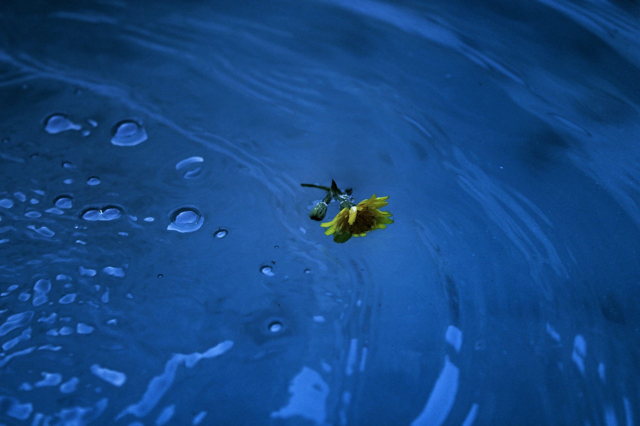 
Колко време след спиране на алкохола се изчиства организма