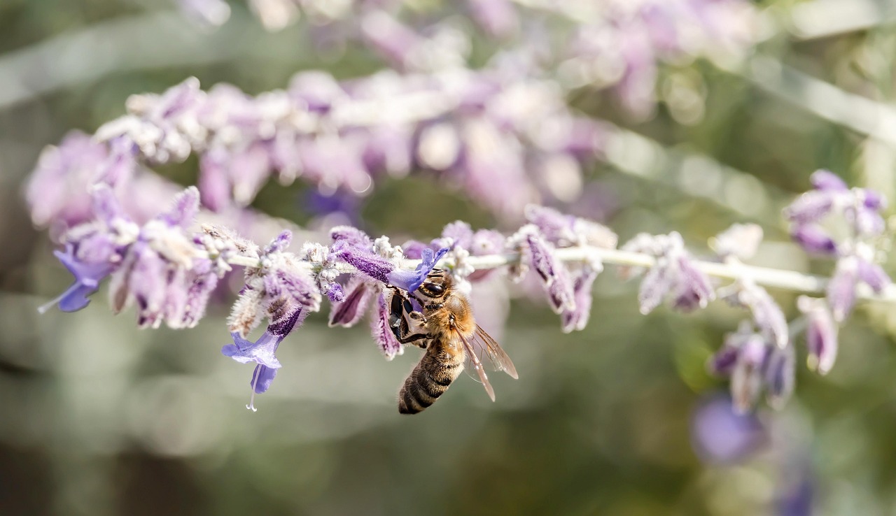 
ф32 Колко цола е