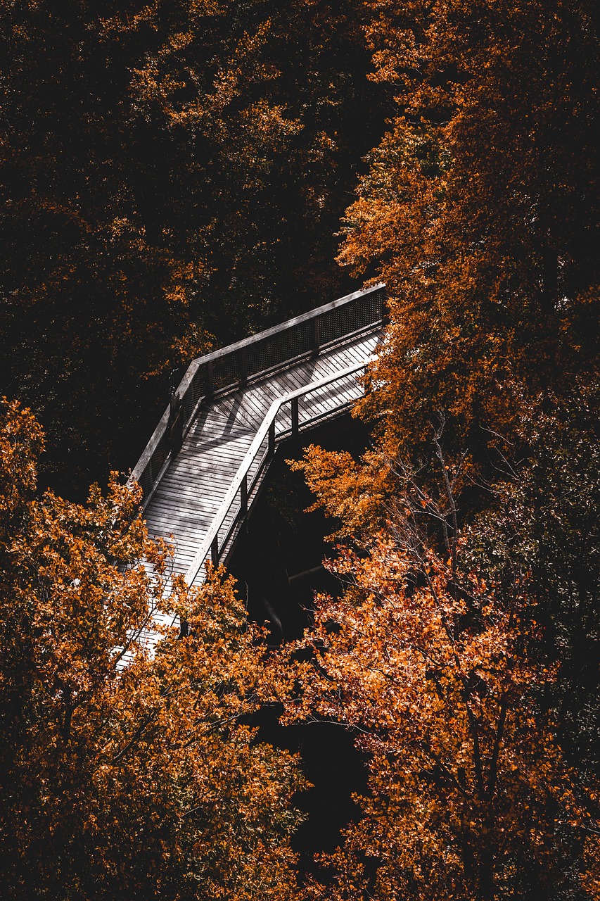 
силна музика до Колко часа