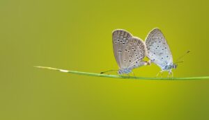 Колко струва смяна на водомер