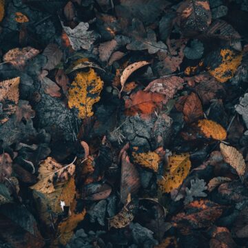
0882 Кой оператор е