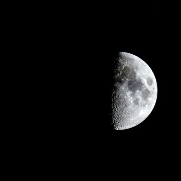 
Кой е бащата на детето на никол станкулова