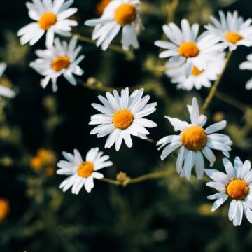 G0bc14db9bde7a5894509aaed1d0e4ab8ea7354480f9a191b0cf24eaf6bad5afb0b4bb8553792b78554d0e2be2d6d64aa143db834ec44f8be9cdc14f1cee14fb3 1280
Кой е гласът на биг брадър 2024