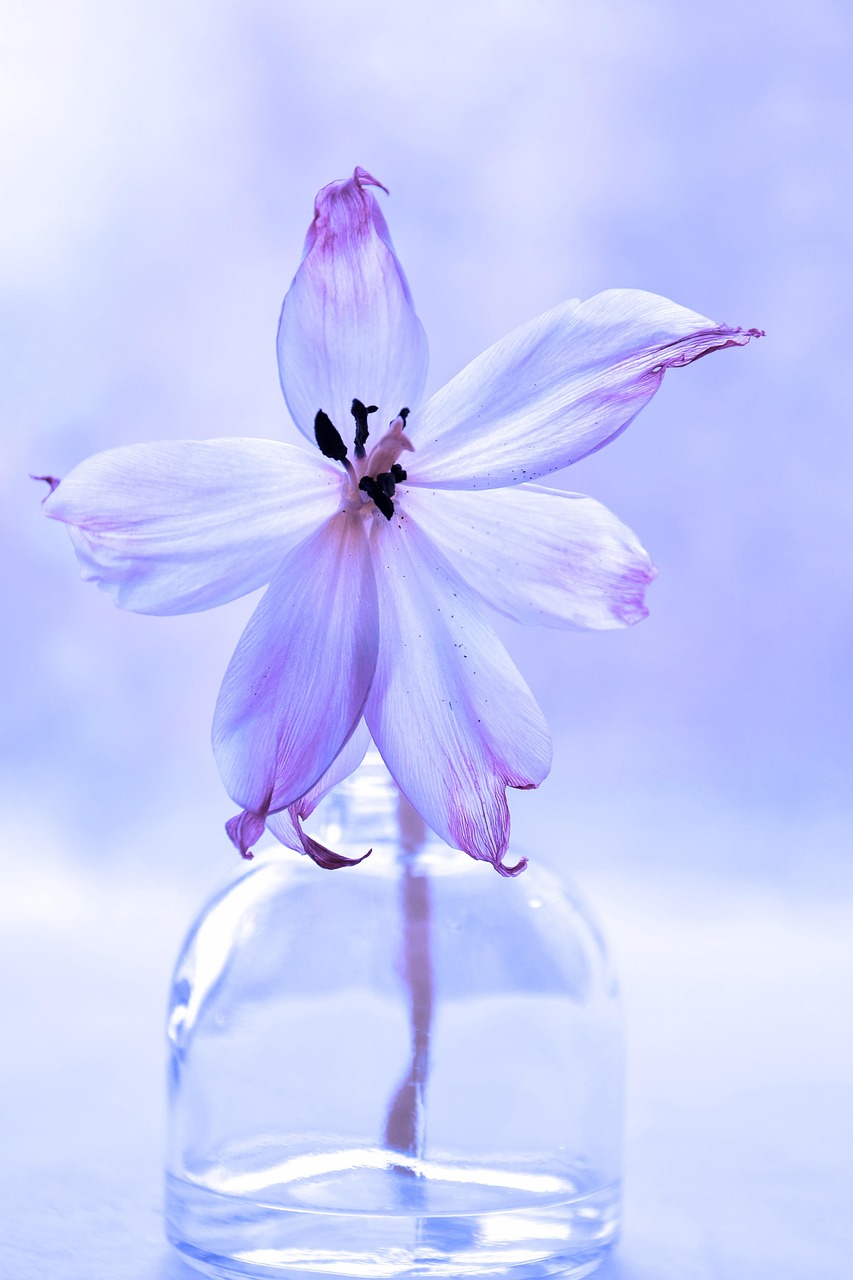 G3f00ff90b039c7b6244135b18b10af78a86dad5dcfeb22d0a36f9e2fbf0dd5e56e9375a39ba7d28dd1ae114f1945097477cd9e2ecd4d6518a526d8fac7012af2 1280
13 седмица от бременността Кой месец е
