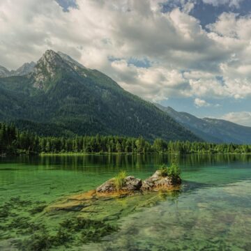 
Кой е ергенът 4