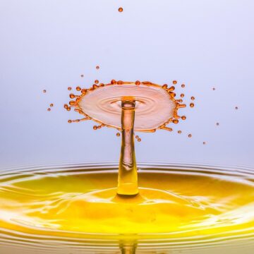 
Кой е памеца