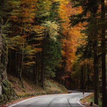 
Кой е премиер на българия