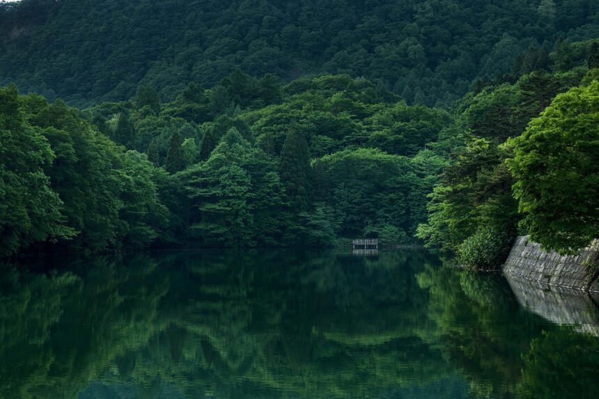 
Кой е песъка